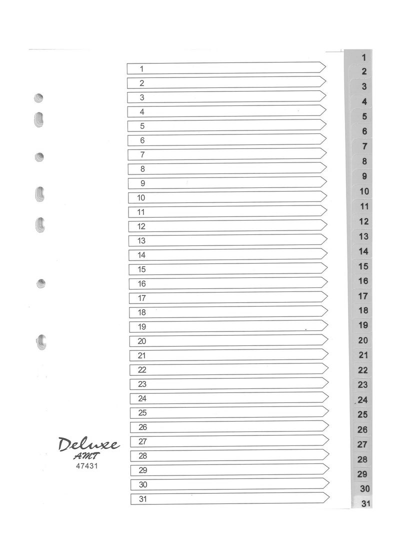 Deluxe Amt 5-Piece 31 Tab Plastic Divider Grey  - Image 2