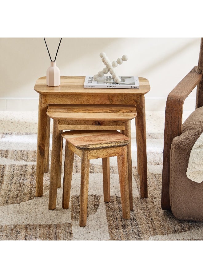 Home Box Rove Solid Wood Nest of Tables - Set of 3  - Image 2