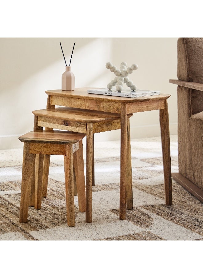 Home Box Rove Solid Wood Nest of Tables - Set of 3  - Image 1