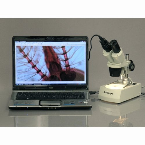 AmScope SE306R-PZ Forward Binocular Stereo Microscope, WF10x and WF20x Eyepieces, 10X-80X Magnification, 2X and 4X Objectives, Upper and Lower Halogen Light Source, Pillar Stand, 120V , White - Image 2