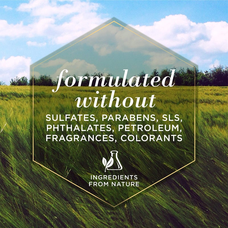 بخاخ بيرتس لفك تشابك الشعر للكلاب بالليمون وبذور الكتان  296 مل - Image 4