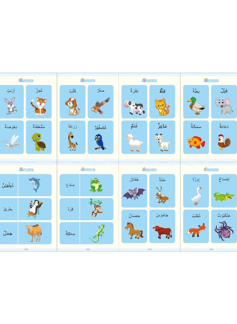 DubaiGallery 4 Piece Magic Book Practice copybook for kids Reusable Number & Letter Tracing Books, Drawing & Math Practice Books - Print Handwriting Workbook for Beginners, Preschoolers & Kindergarten Kids  - Image 4