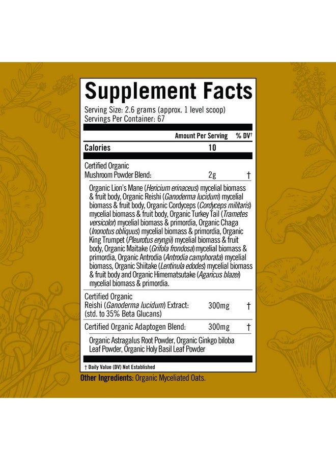 Om Mushroom Superfood - Master Blend Mushroom Powder Supplement 6.2 Ounce 67 Servings 10 Mushroom Complex Lions Mane Chaga Cordyceps Reishi Extract Adaptogens For Vibrant Health Immune Support - Image 1