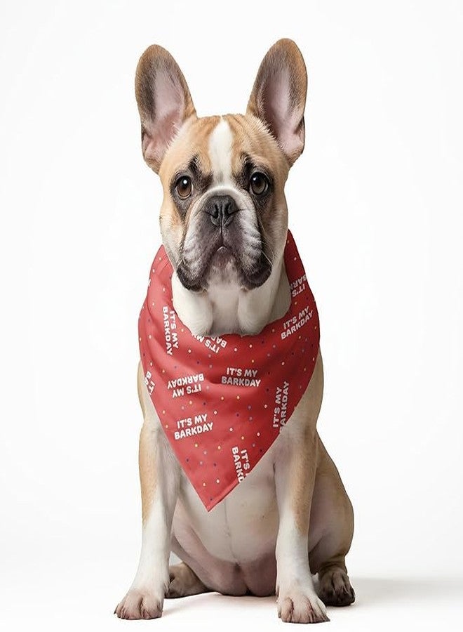 W Brings Bandana for Dogs (Set of 2) | These Stunning Gorgeous Design Dog Bandana Scarf are Perfect Styling Accessory for Dogs Large, Medium & Small. (XL, Birthday + Pink Toucan) - Image 3