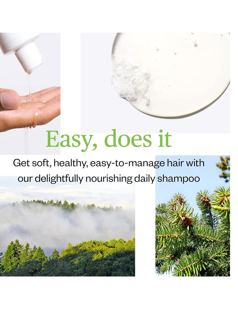 Ursa Major Ursa Major Natural Shampoo | Sulfate-Free, Vegan, Cruelty-Free, Non-toxic | Formulated for Men & Women and All Hair Types | 8 ounces  - Image 2