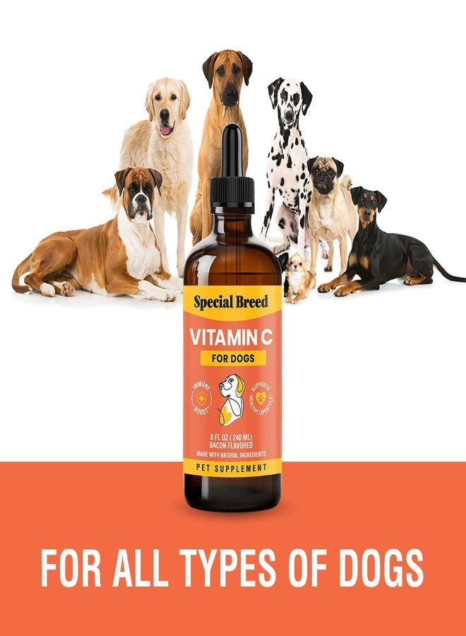 Special Breed Vitamin C for Dogs, Helps Support Immune System, Vitamin C Liquid Supplement, Dog Immune Booster, Bacon Flavored, 8oz - Image 2