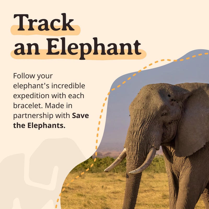 Fahlo Elephant Tracking Bracelet â€“ Track a Real Elephantâ€™s Journey â€“ Supports Save the Elephants â€“ Elastic, One Size Fits Most â€“ on Interactive Mobile App Map â€“ Unisex Conservation Gift (White Howlite STE Edition) - Image 5