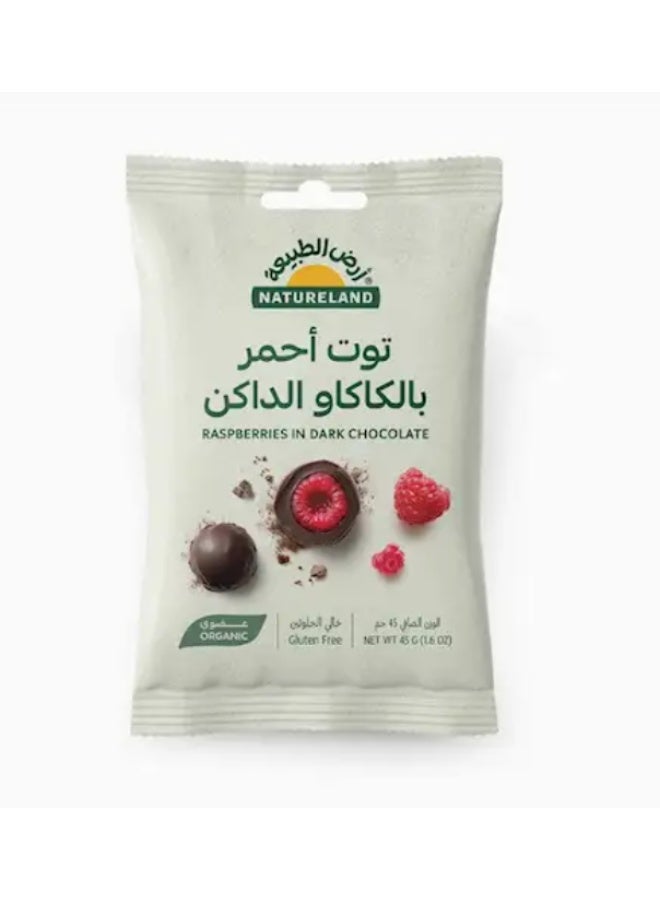 توت العليق في الشوكولاتة الداكنة 45 جرام