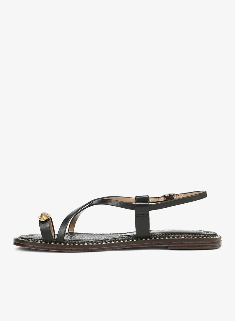 Sam Edelman BLACK Tenly Toe Strap Sandal for Women | Best Price UAE