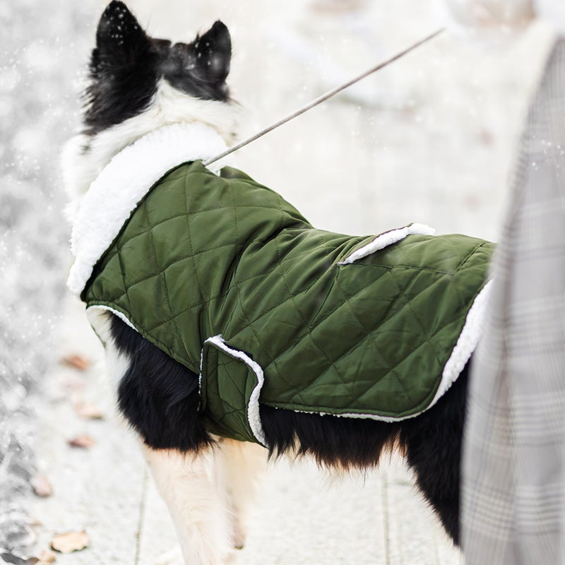 ORZECHKO Dog Winter Coat - Windproof Fleece Warm Thick Dog Jacket Clothes for Cold Weather - Green Pet Vest Coat Outfits for Small Medium Large Dogs - Indoor & Outdoor Use (S-XXL) - Image 5