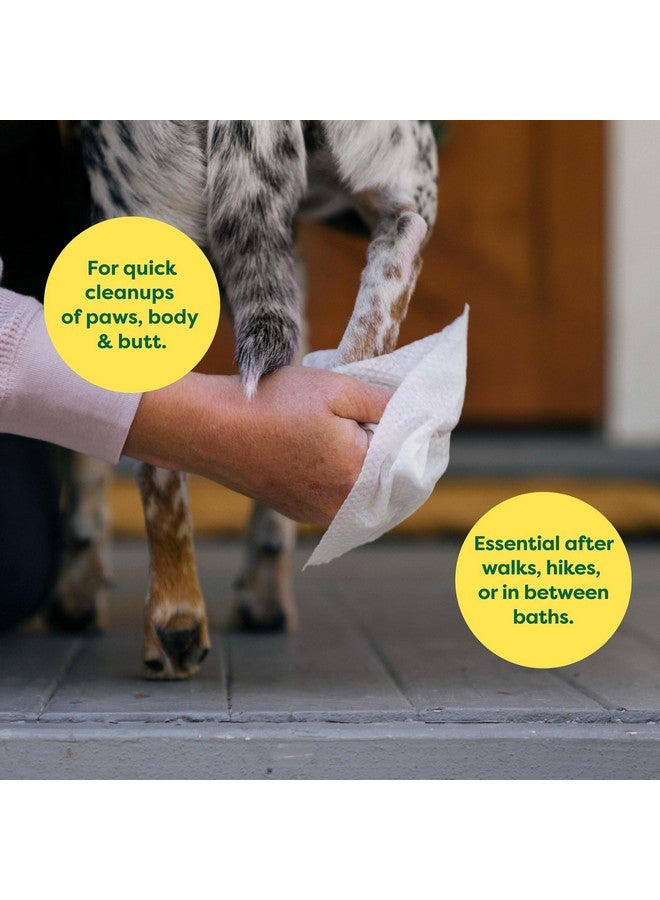 إيرث ريتد مناديل الكلاب المضادة للحساسية، مناديل تنظيف وتصفيف للكفوف والجسم والأرداف، مثالية للجراء والكلاب البالغة، برائحة اللافندر، 100 قطعة - Image 2