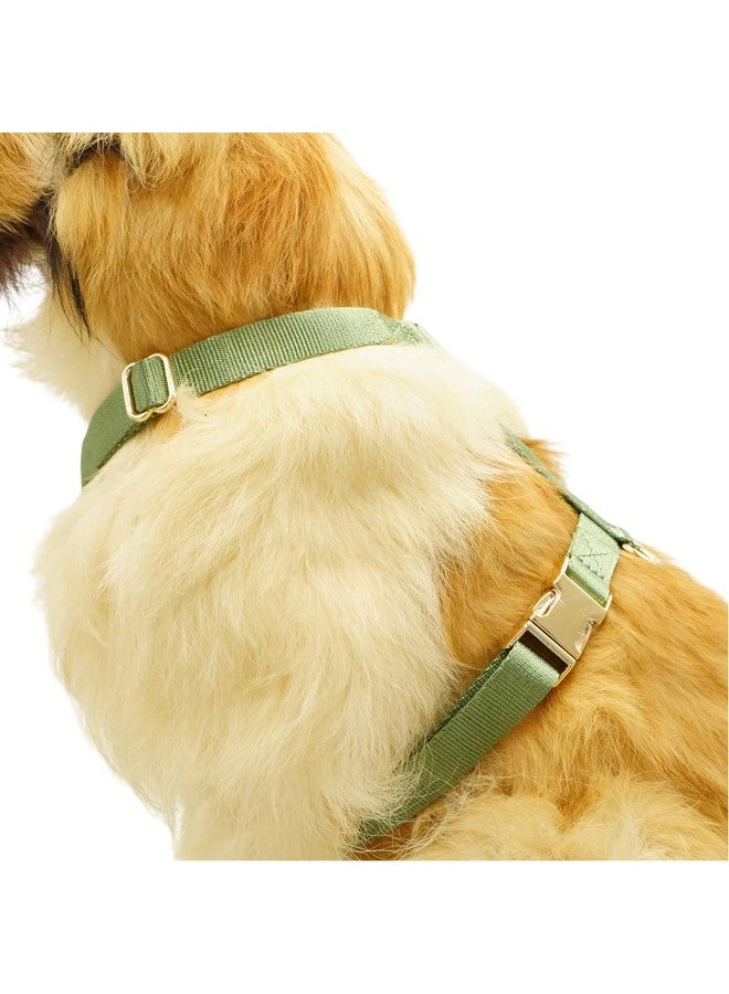 حزام نايلون للكلاب لا يشد مع مشابك معدنية ذهبية، سهل المشي والتدريب (أخضر حكيم، مقاس XS) - Image 4