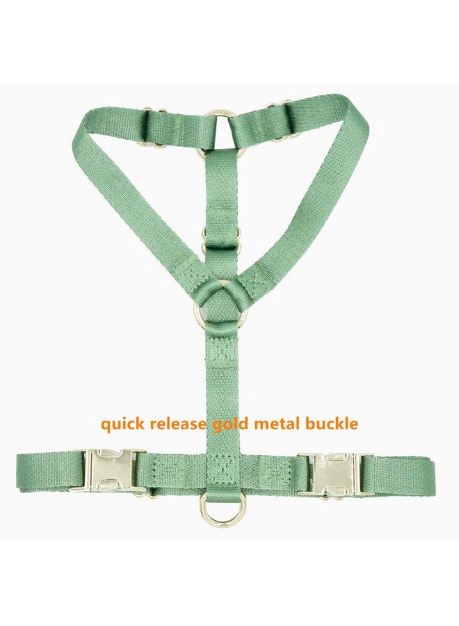 حزام نايلون للكلاب لا يشد مع مشابك معدنية ذهبية، سهل المشي والتدريب (أخضر حكيم، مقاس XS) - Image 2