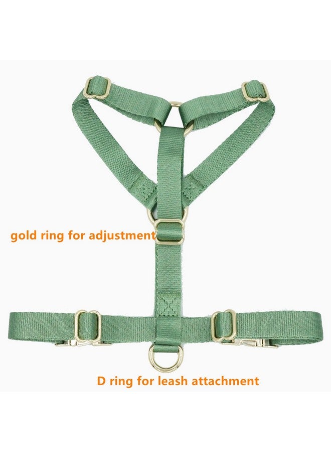 حزام نايلون للكلاب لا يشد مع مشابك معدنية ذهبية، سهل المشي والتدريب (أخضر حكيم، مقاس XS) - Image 3