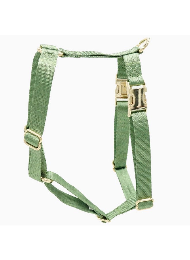 حزام نايلون للكلاب لا يشد مع مشابك معدنية ذهبية، سهل المشي والتدريب (أخضر حكيم، مقاس XS) - Image 1