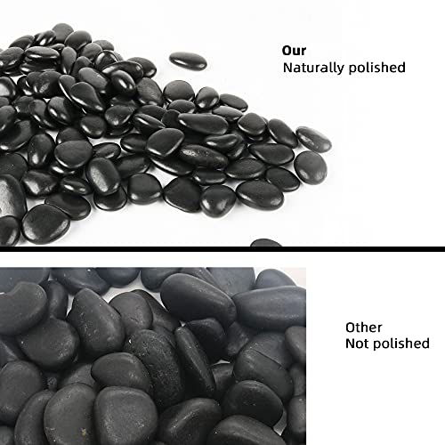 CJGQ Black Pebbles for Plants 3lb Bulk Bag 0.5"- 1" Aquarium Gravel Decorative Polished Stone Natural River Rocks for Fish Tank… - Image 5