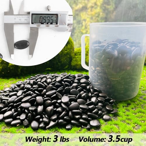 CJGQ Black Pebbles for Plants 3lb Bulk Bag 0.5"- 1" Aquarium Gravel Decorative Polished Stone Natural River Rocks for Fish Tank… - Image 2