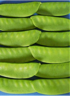 60 seeds of Mangetout / Sugar Pea (Oregon Sugar Pod)
