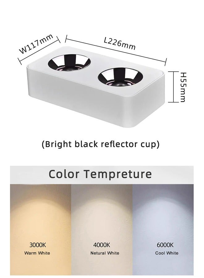 أضواء السقف الداخلية المثبتة على الحائط 2 طريقة ضوء بار LED 2x10W COB أبيض دافئ 3000K 220V-240V للمنزل، المدخل، غرفة المعيشة، المطبخ، غرفة النوم، غرفة الجلوس - Image 5