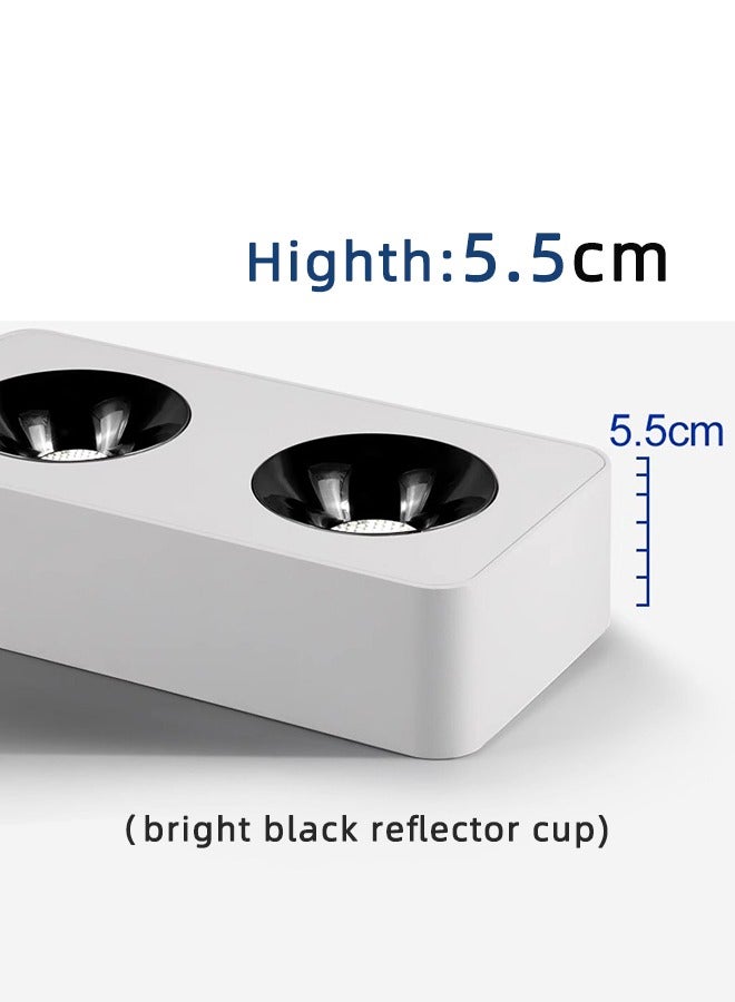 أضواء السقف الداخلية المثبتة على الحائط 2 طريقة ضوء بار LED 2x10W COB أبيض دافئ 3000K 220V-240V للمنزل، المدخل، غرفة المعيشة، المطبخ، غرفة النوم، غرفة الجلوس - Image 3