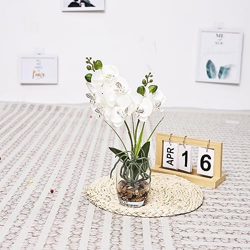 Jusdreen 1 Pcs Glass Vase Artificial Orchid Flower Bonsai Vivid Phalaenopsis Flowers Potting for Home Office Décor,Table Centerpiece Room Decorations 14.5 INCH (Glass Vase/White Orchid) - Image 5