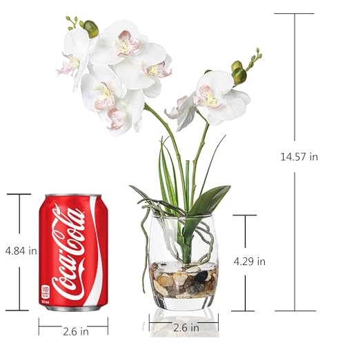 Jusdreen 1 Pcs Glass Vase Artificial Orchid Flower Bonsai Vivid Phalaenopsis Flowers Potting for Home Office Décor,Table Centerpiece Room Decorations 14.5 INCH (Glass Vase/White Orchid) - Image 2