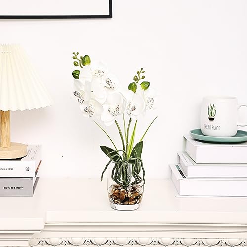 Jusdreen 1 Pcs Glass Vase Artificial Orchid Flower Bonsai Vivid Phalaenopsis Flowers Potting for Home Office Décor,Table Centerpiece Room Decorations 14.5 INCH (Glass Vase/White Orchid) - Image 3