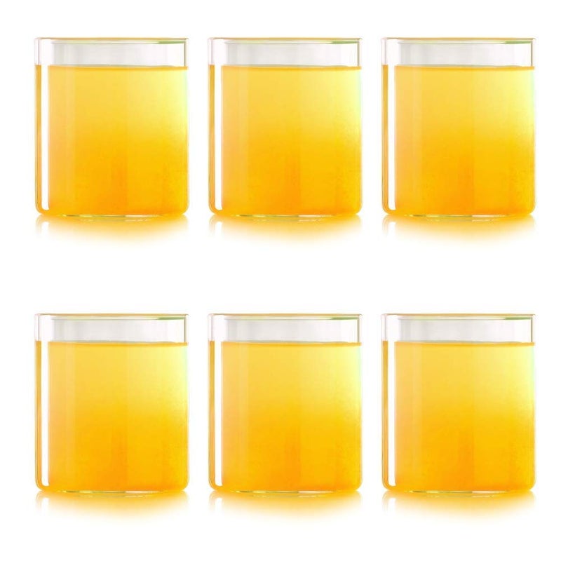 PASSARO Small Squat Water Glass Set of 6 205 ML Transparent Borosilicate Glass Set - Image 4