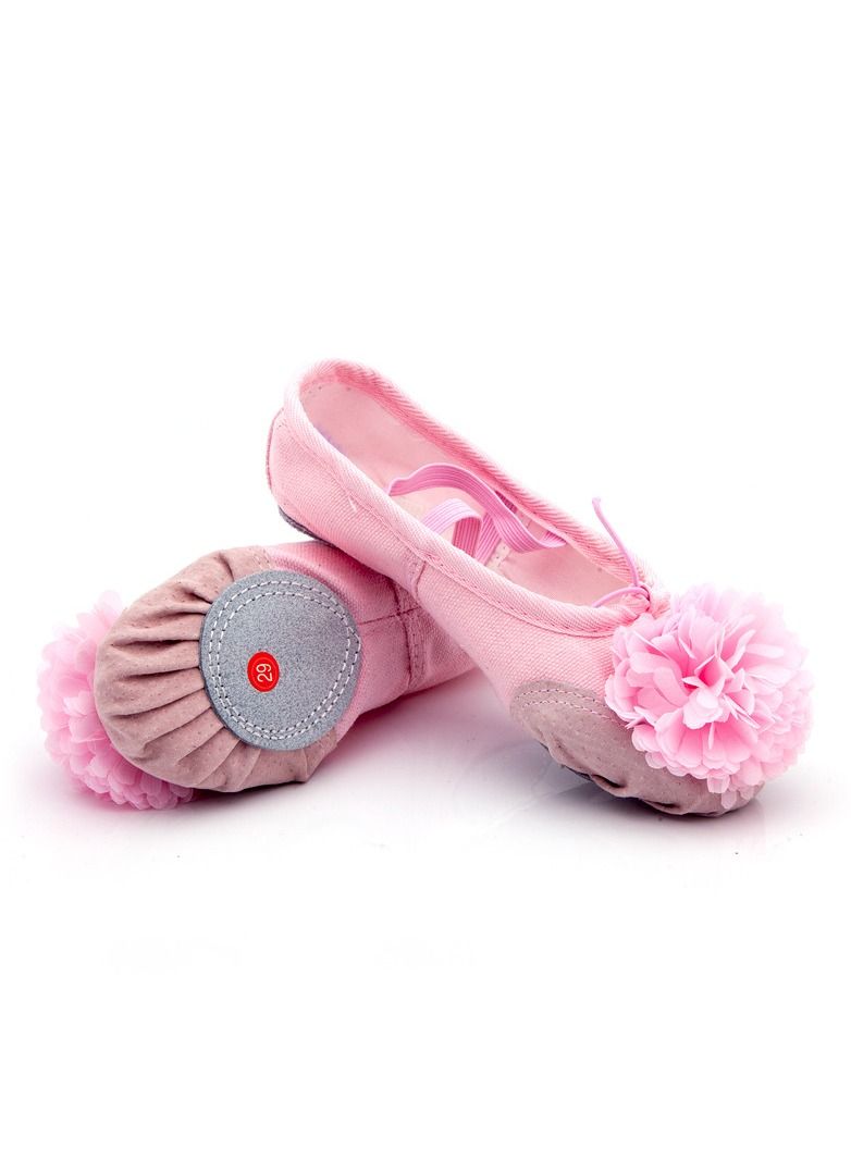 Loquat Girls' Flower Dance Shoes Practicing Ballet Shoes Leather Top Pink