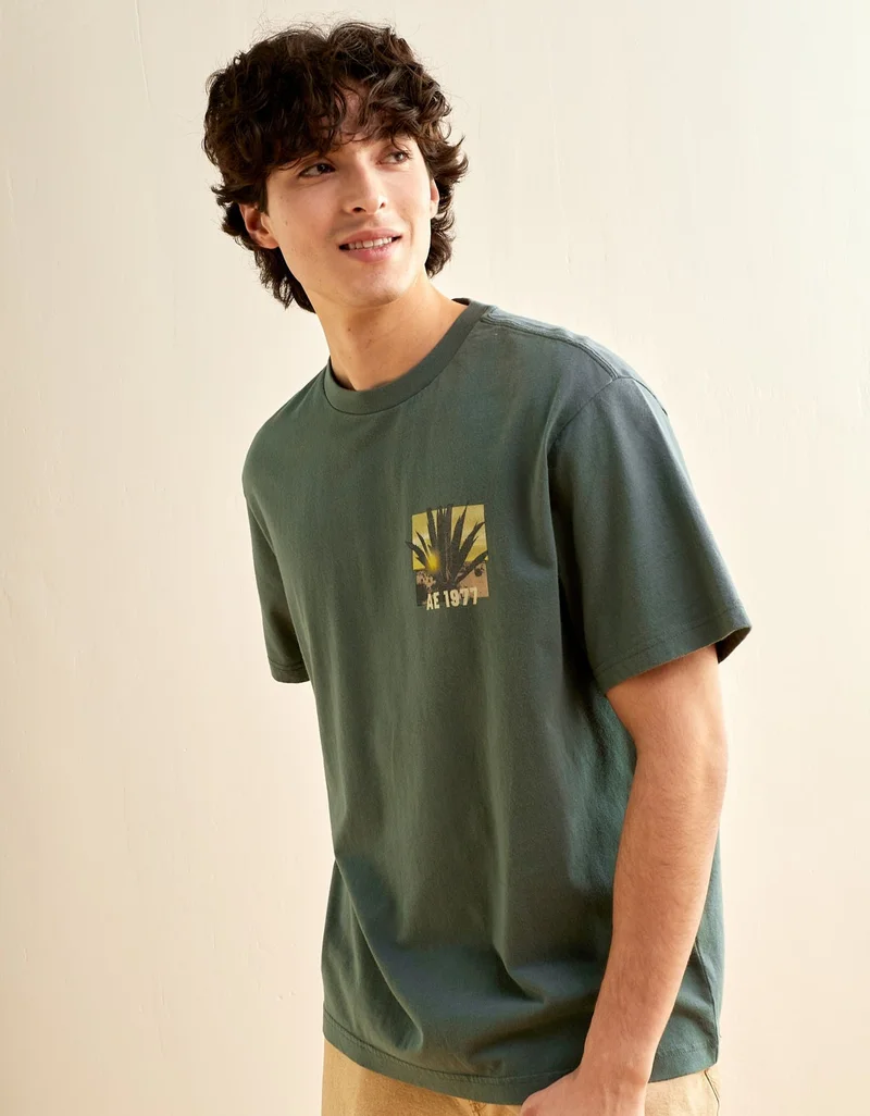AE Standard Fit Destination Graphic T-Shirt