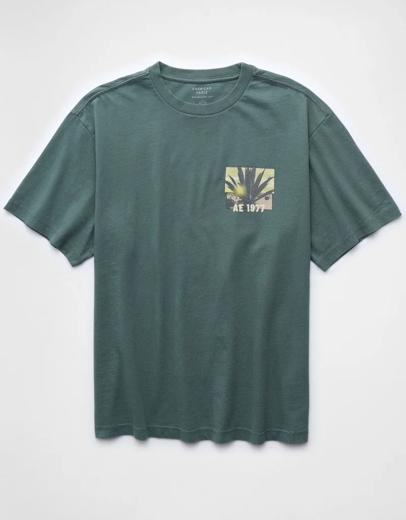 American Eagle  AE Standard Fit Destination Graphic T-Shirt for Men | Best Price UAE
