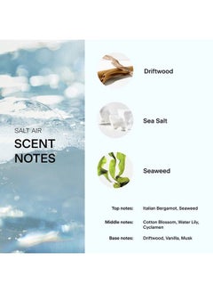 Skylar Salt Air Eau De Perfume Hypoallergenic & Clean Perfume For Women & Men Vegan & Safe For Sensitive Skin Fresh Perfume With Notes Of Driftwood Sea Salt & Seaweed (10Ml /0.33 Fl Oz)  - Image 4