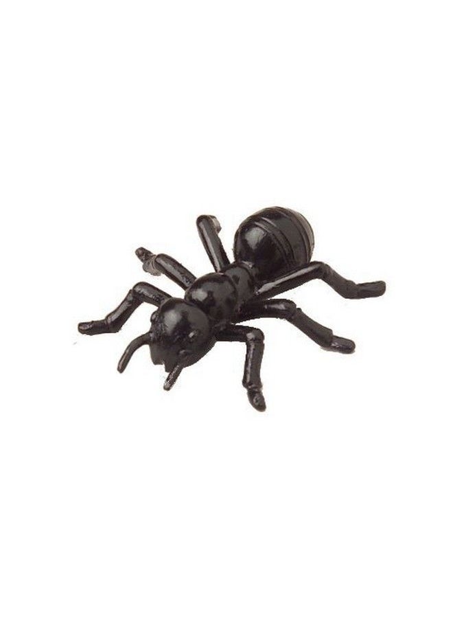 U.S. Toy - Lot Of 72 Large Black Carpenter Ant Toys - Image 1