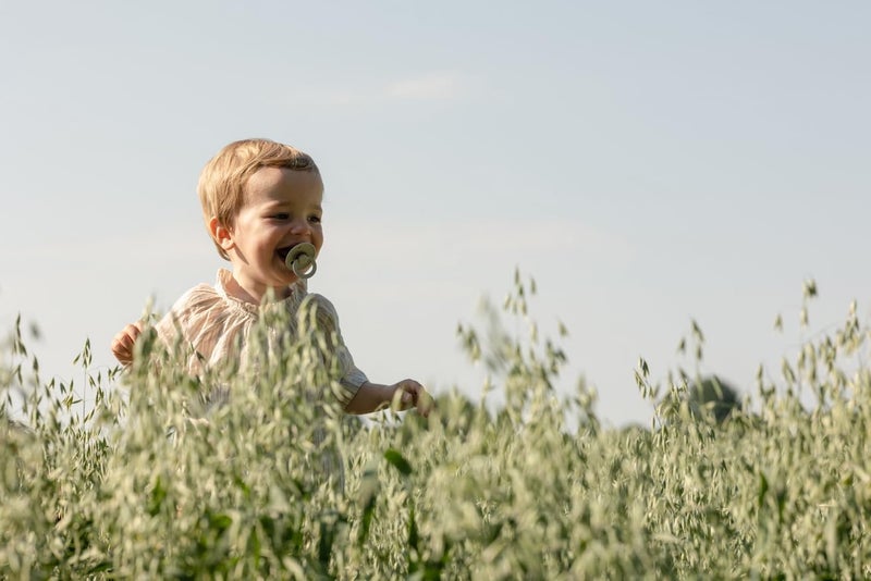 BIBS مجموعة مصاصات بيبس الملونة | مصاصة أطفال من المطاط الطبيعي | مجموعة من 2 مصاصة خالية من BPA | مصنوعة في الدنمارك | 6+ أشهر (عبوة من 2) | بلش - Image 5