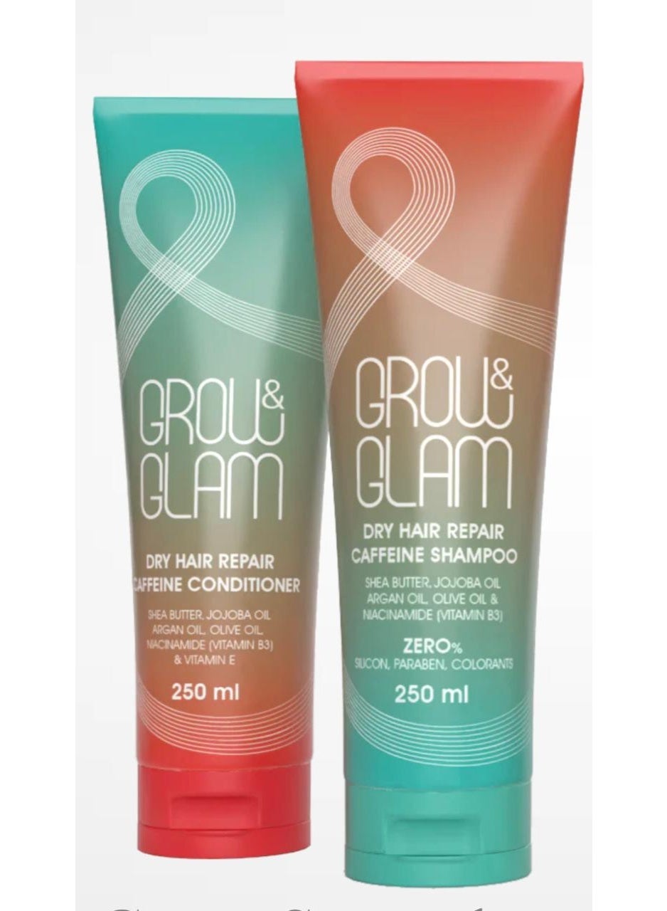 Shampoo 250ml + Conditioner 250ml Set - For repairing dry and damaged hair
