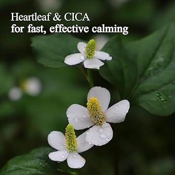 Pyunkang Yul PKY Pyunkang Yul Calming Relief Gel Wash Off Pack Soothes Eczema Psoriasis Aloe Vera Chamomile for Relief Vitamin E for Moisture Korean Skincare 338 Fl Oz 100g - Image 4