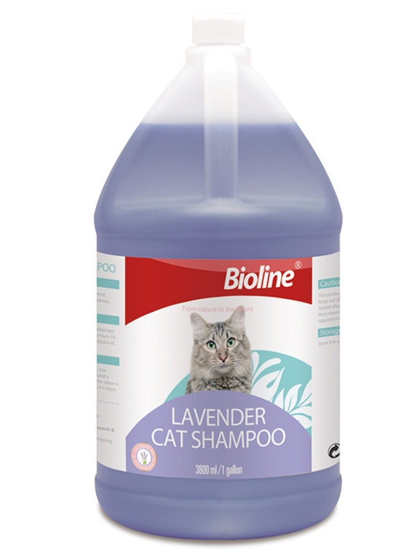 بايولاين شامبو القطط باللافندر 3.8 لتر
