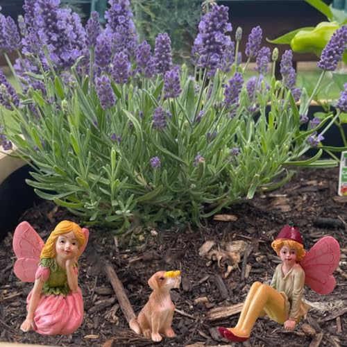 JIUMO Miniature Fairies for Fairy Garden Fairy Figurines Accessories Outdoor Little Fairies Mini Fairies Set for Kids Garden Miniature Boy Fairies - Image 3