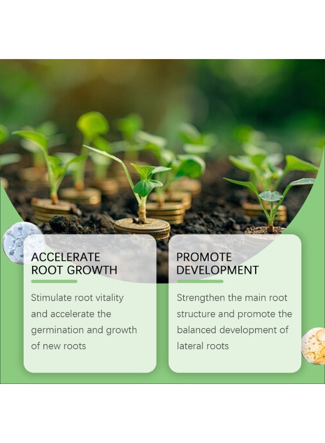 مونسبري عبوتان من محلول تجذير متعدد الأغراض، هرمون تجذير للعقل، محلول تجذير سريع، مكمل غذائي لتعزيز نمو النباتات، بادئ تجذير لعقل النباتات مناسب لحديقة الزهور والخضراوات والأعشاب وأشجار الفاكهة 50 مل*2 - Image 5