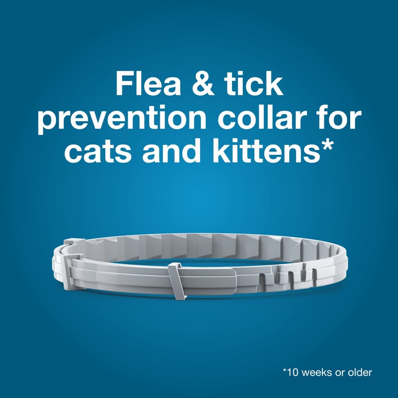 Seresto Cat Vet-Recommended Flea & Tick Treatment & Prevention Collar for Cats | 8 Months Protection - Image 2
