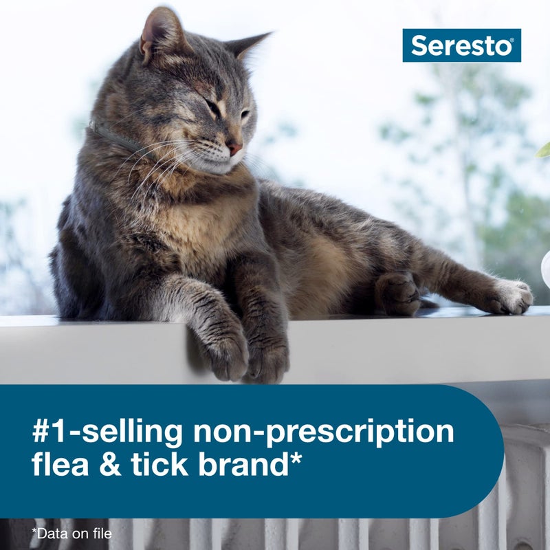 Seresto Cat Vet-Recommended Flea & Tick Treatment & Prevention Collar for Cats | 8 Months Protection - Image 3