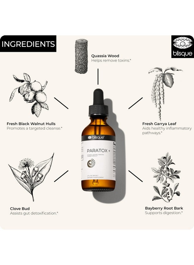 Blisque - Extremely Bitter | UNPLEASANT Taste Natural para Targeted Cleanse Support Supplement | | with Black Walnut Hulls | 2 Ounces | 59 Servings | Very Bitter | UNPLEASANT Taste - Image 4