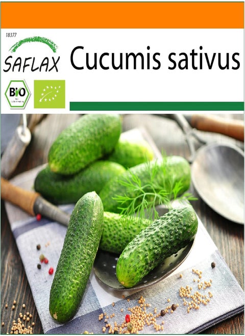 Garden in The Bag - Organic - Cucumber - Vorgebirgstraube - 15 Seeds - with Cultivation Substrate in an Easy to Handle Stand up Bag. - Cucumis sativus