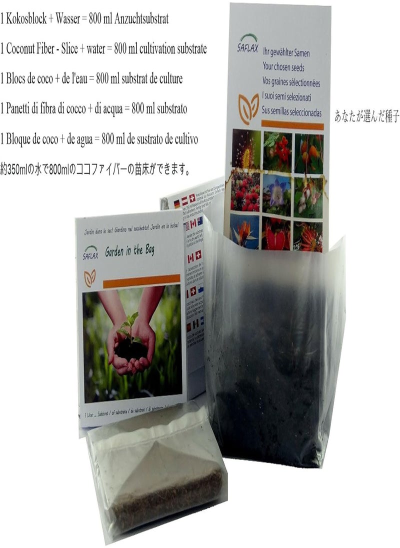Garden in The Bag - Organic - Cucumber - Vorgebirgstraube - 15 Seeds - with Cultivation Substrate in an Easy to Handle Stand up Bag. - Cucumis sativus