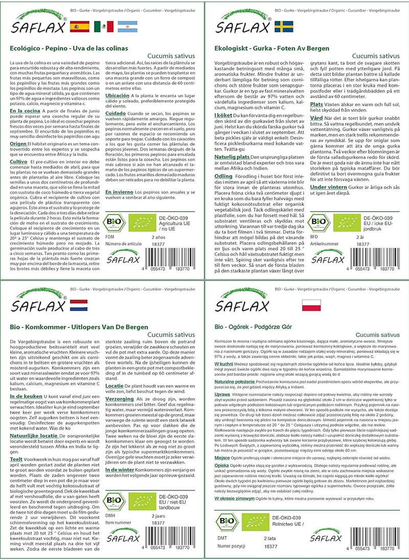 Garden in The Bag - Organic - Cucumber - Vorgebirgstraube - 15 Seeds - with Cultivation Substrate in an Easy to Handle Stand up Bag. - Cucumis sativus