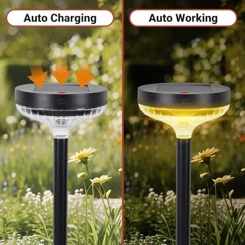 Epyz Solar Light Outdoor Garden Pathway Stake Light, IP67 Waterproof for Walkway Yard Backyard Lawn Landscape Decorative [ Pack of 1, Multicolor ] - Image 3