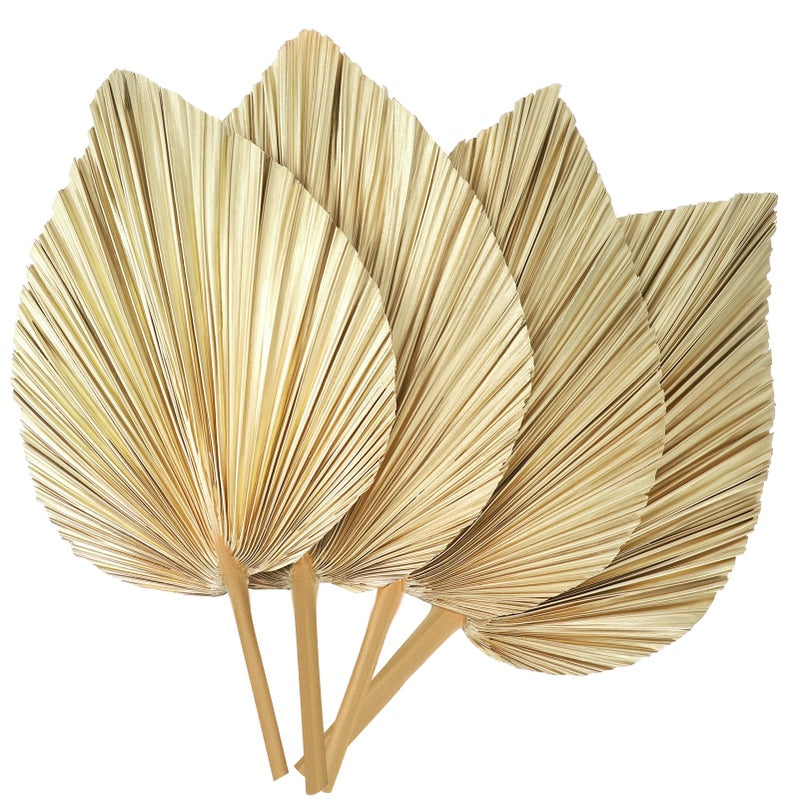 ZhouBoat 4 Pcs Natural Boho Large Dried Palm Leaves Fans with StemTropical Palm Leaves Boho Wedding Decor for Vase Baby Shower Anniversary Home - Image 2