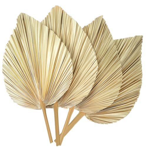 ZhouBoat 4 Pcs Natural Boho Large Dried Palm Leaves Fans with StemTropical Palm Leaves Boho Wedding Decor for Vase Baby Shower Anniversary Home - Image 1