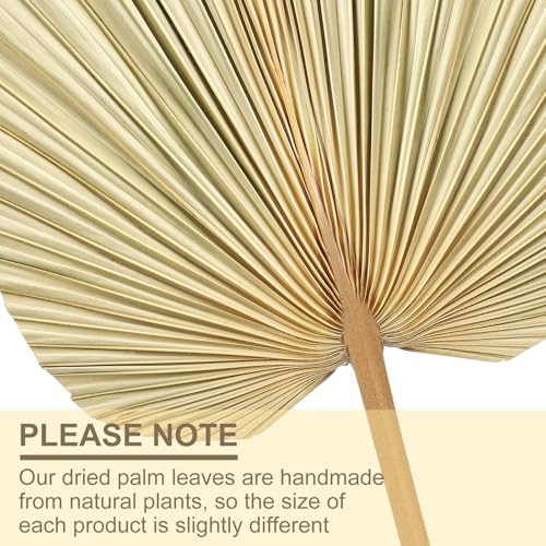 ZhouBoat 4 Pcs Natural Boho Large Dried Palm Leaves Fans with StemTropical Palm Leaves Boho Wedding Decor for Vase Baby Shower Anniversary Home - Image 3