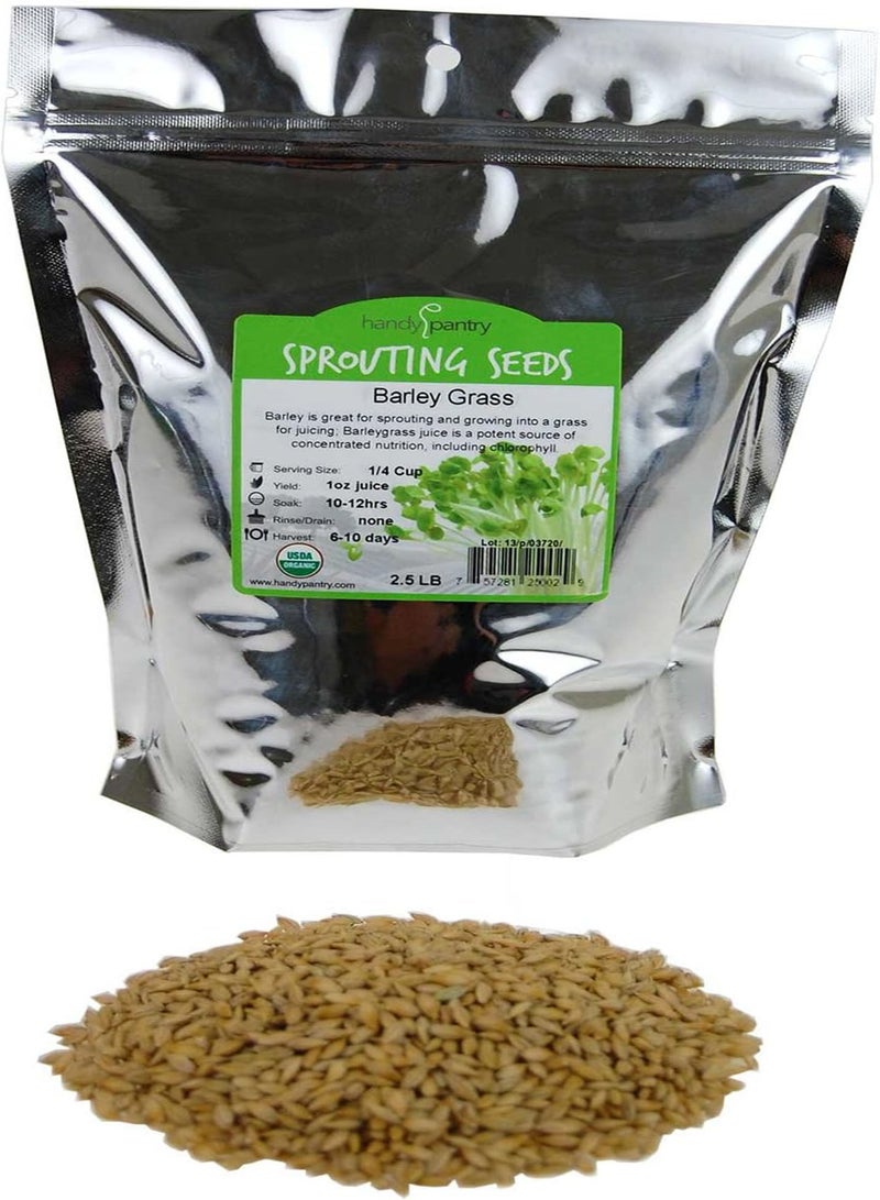 GGOOT Organic Barley Grass - 2.5 g - Whole (Hull Intact) Barleygrass Seed - Ornamental Barley Grass, Juicing - Grain for Beer Making, Emergency Food Storage & More  - Image 1